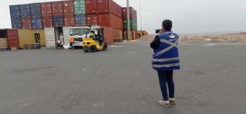 INSPECCION DESCONSOLIDADO